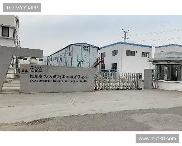 天津凯发电气股份有限公司在电气自动化控制系统中的研发创新与市场拓展策略